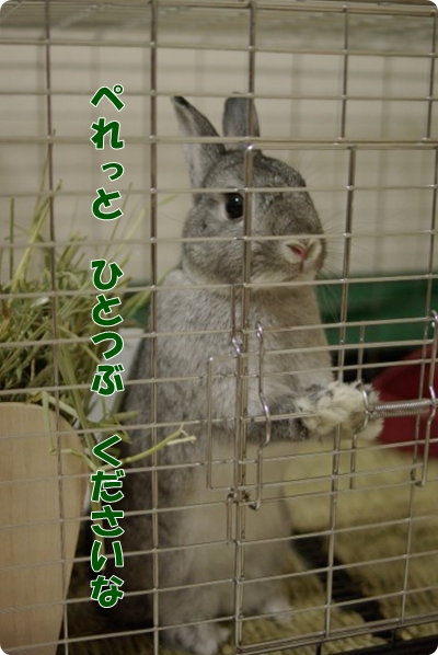 いつものやくそくだよね