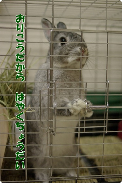 いいこでまってるの