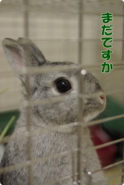 用意は早めにしてくださいね