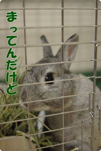 カメラかまえてる場合じゃないよ