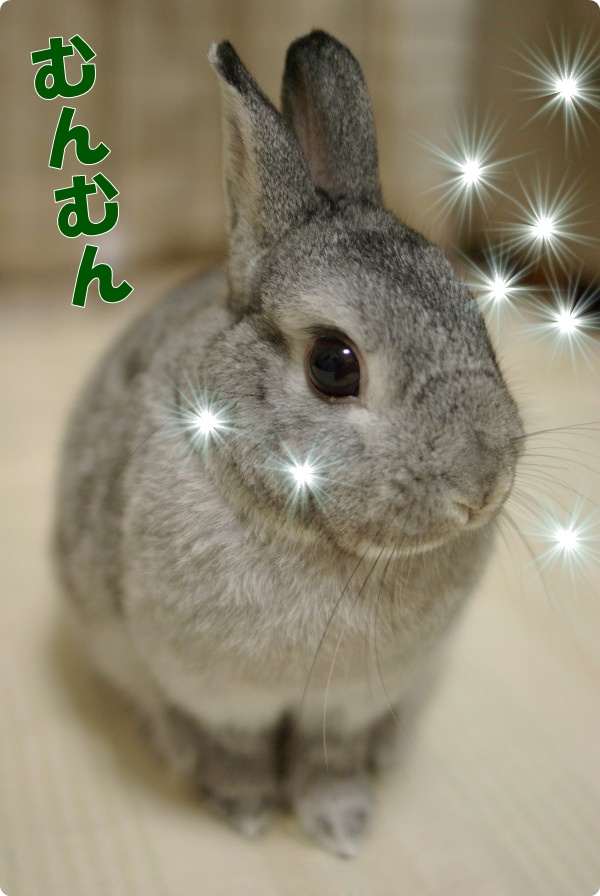 キラキラ〜☆