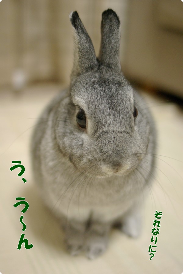 100円分かな…