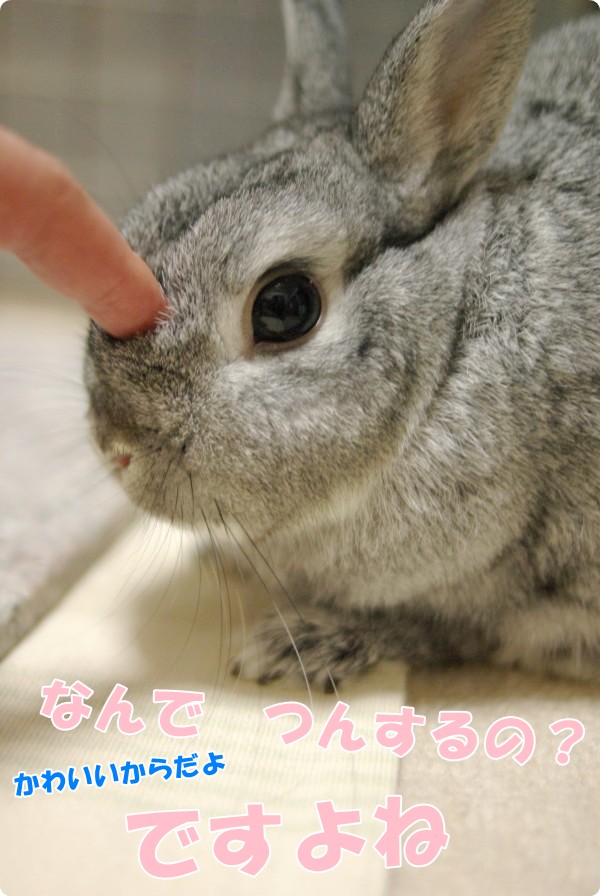 ん?
