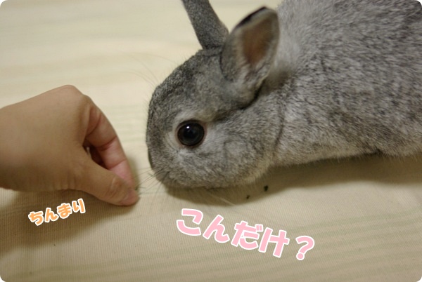 ちびっとね〜