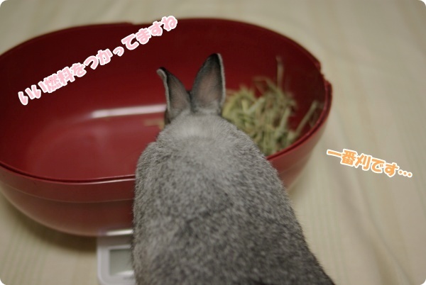 ふんふん