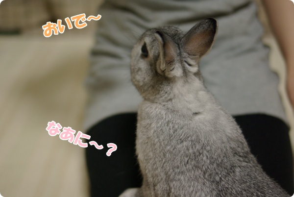 なかよしタイムよ〜♪