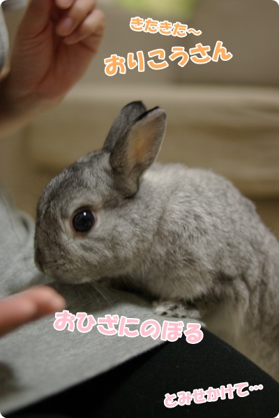 おひざの上でいいこね〜♪