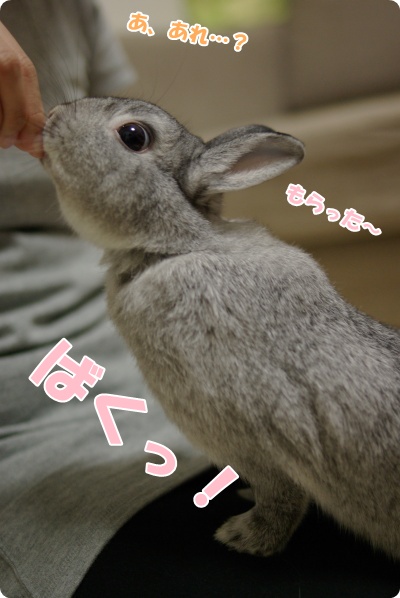 すきありっ!!
