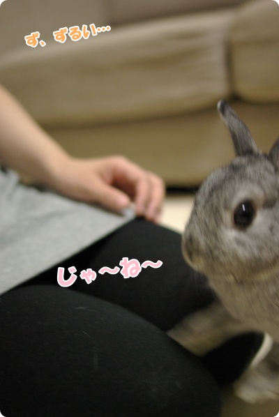 くいにげ…?