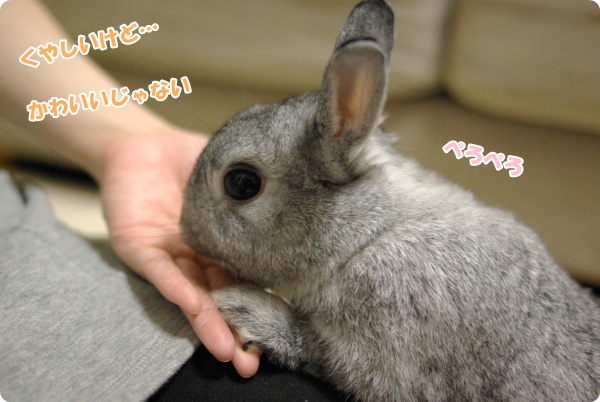 いや〜ん、かわいい♪