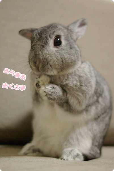 もふっ