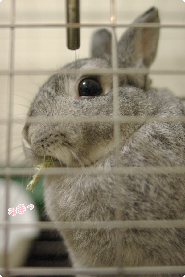 それでいてしつこくない!