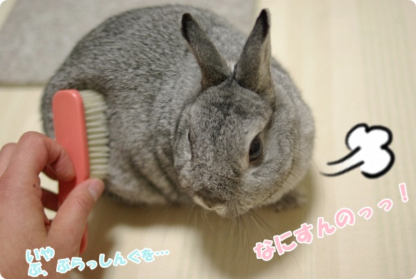 くるっ!!