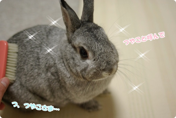 きらきら〜ん☆