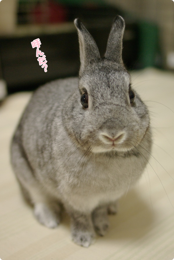 ん?