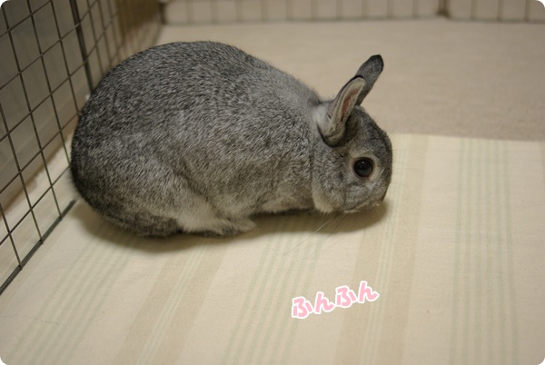 す〜は〜