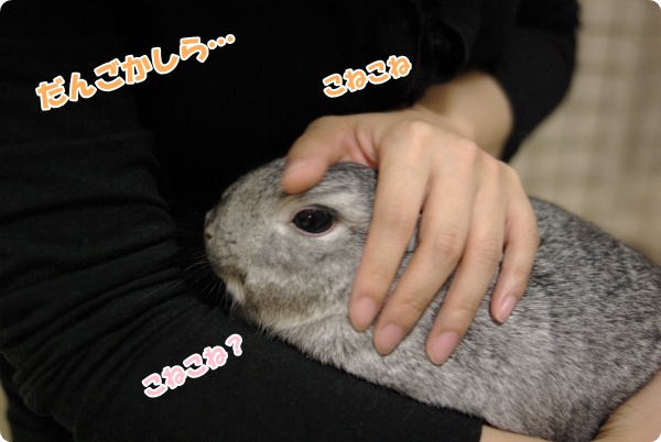 だんごはよくこねましょう