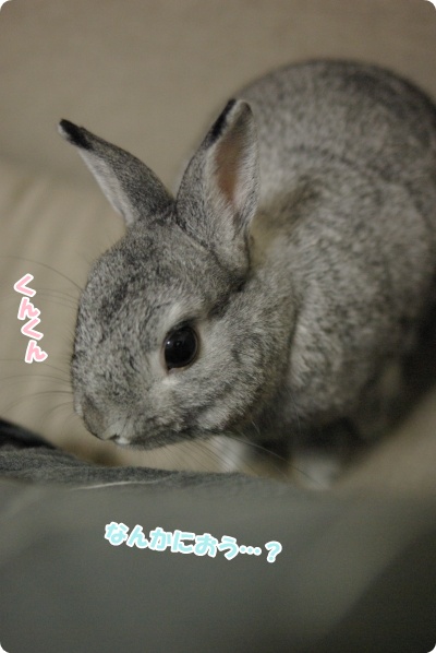 あらっ?