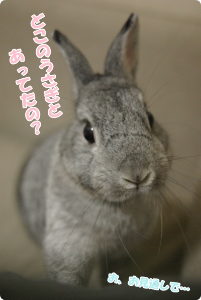 きいきいきいっ!