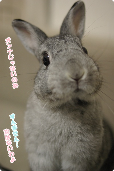 しょうがないわね…
