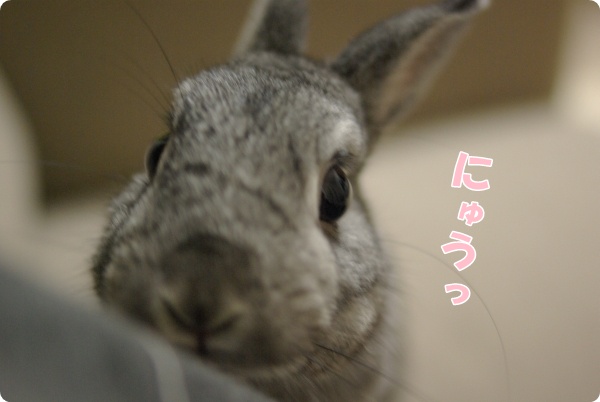 わるいこ?