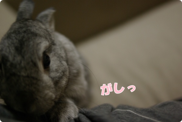 番頭に…