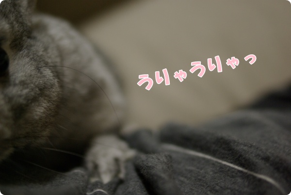 のぼれ〜!