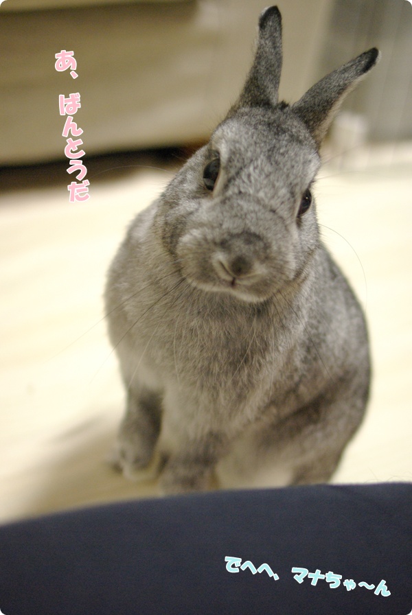 どうしようかな