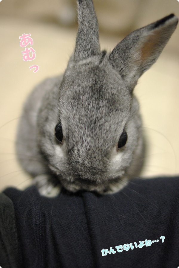 とりあえず
