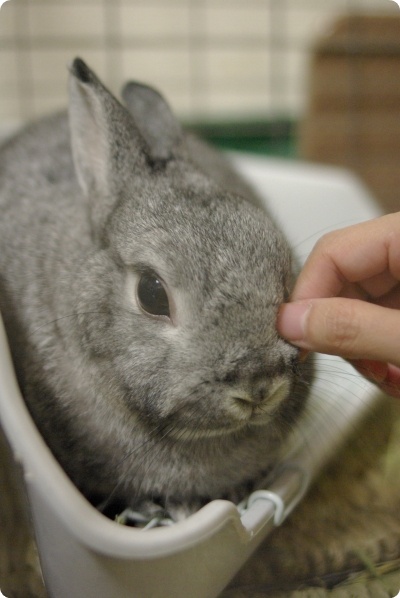 ふにっ
