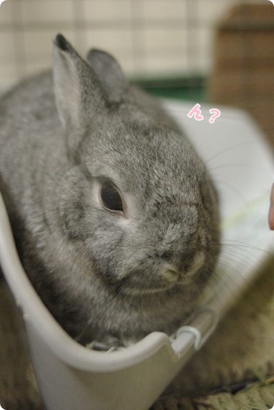 おかしい