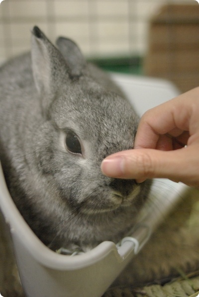 むにっ