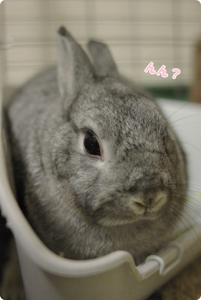 やっぱりおかしい