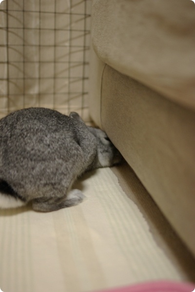 もぞもぞ…