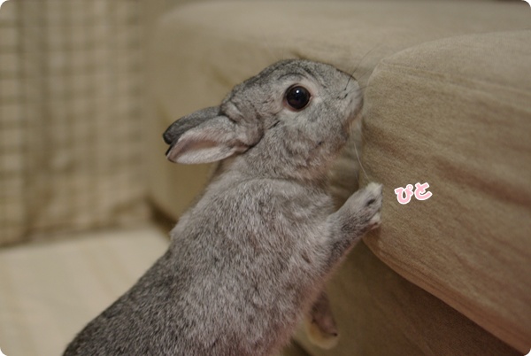 むむ〜…