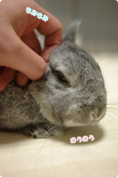 そうそう