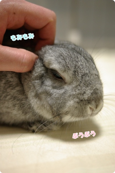 そこそこ