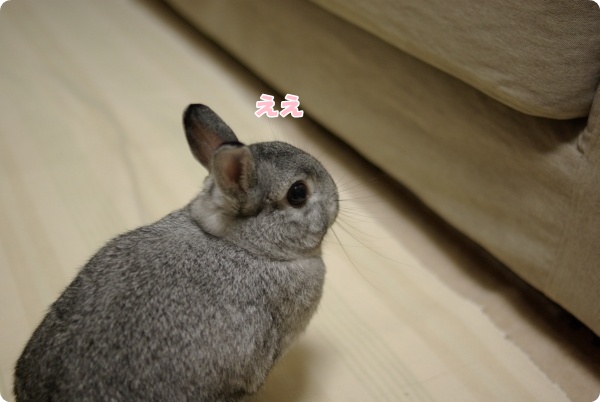 ふう