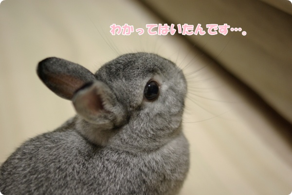 しんみり…
