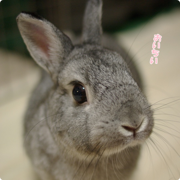 にっこり