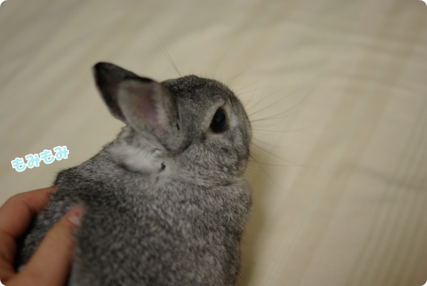 おしりももみもみ