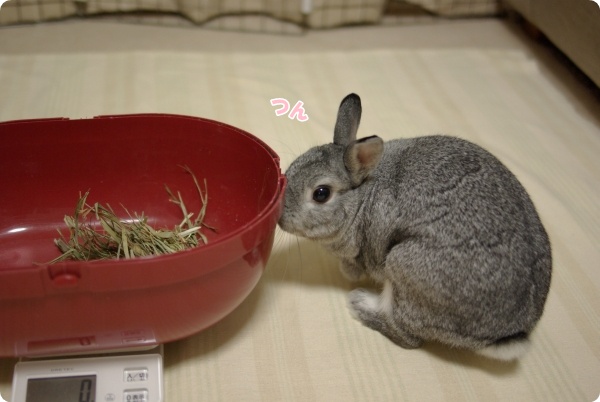 ごあいさつ