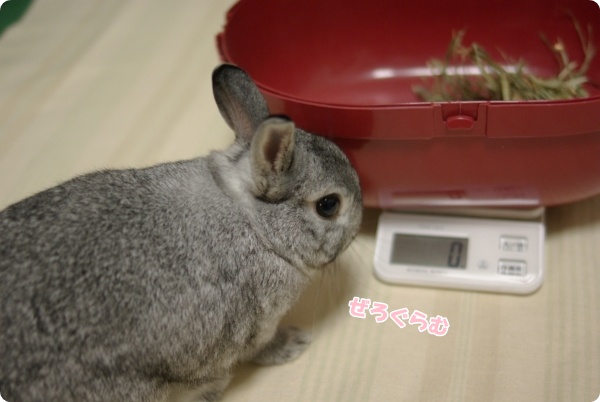 不正はありません