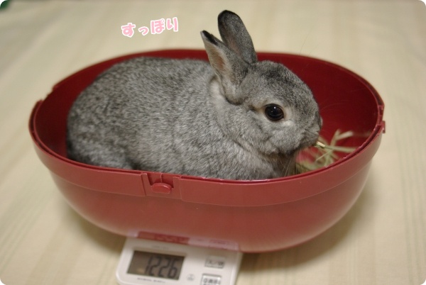 早くももぐもぐ