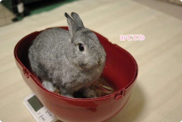 いくよ〜
