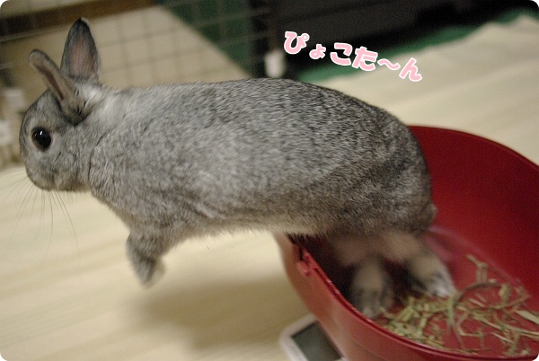 うりゃ〜