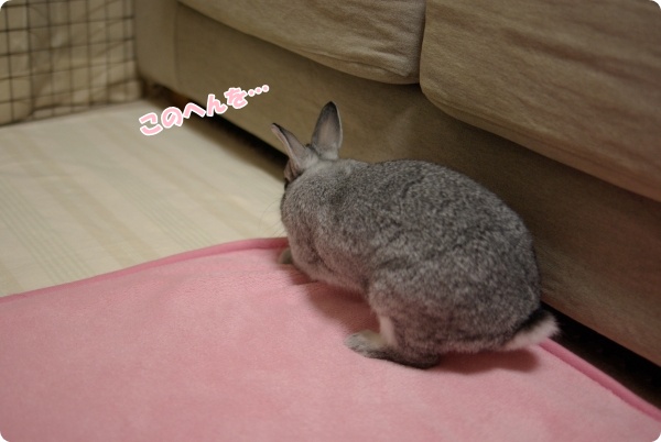 なにやら真剣ですね