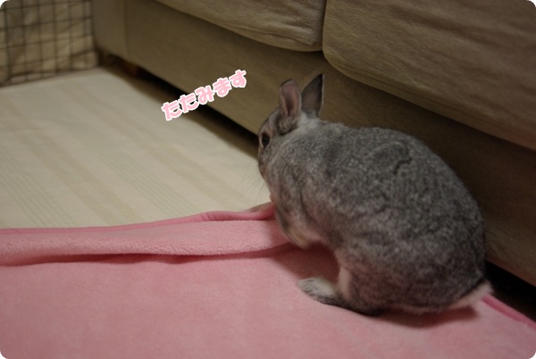 丁寧に折ってます