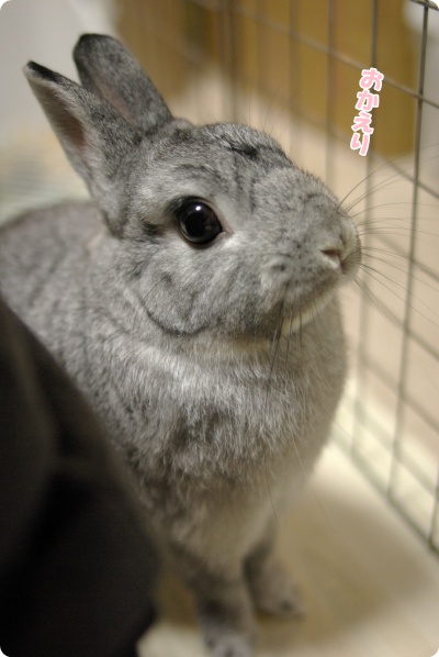 きら〜ん