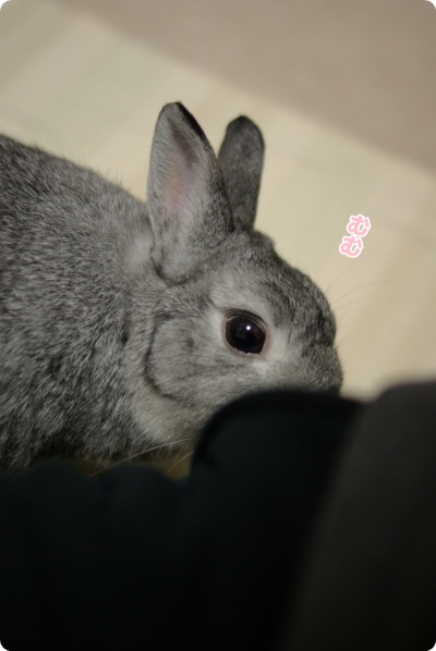 このにおい